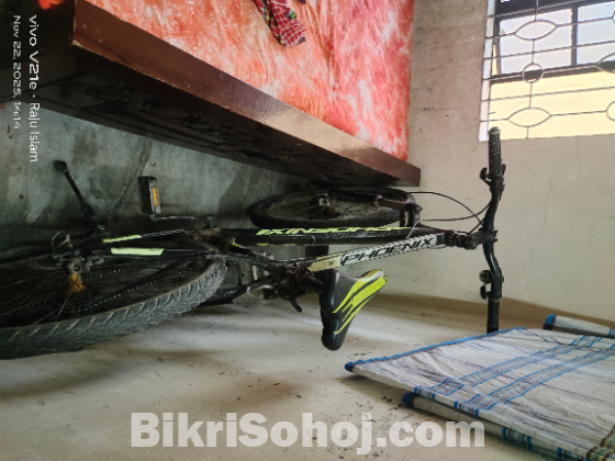 ফিনিক্স বাইসাইকেল