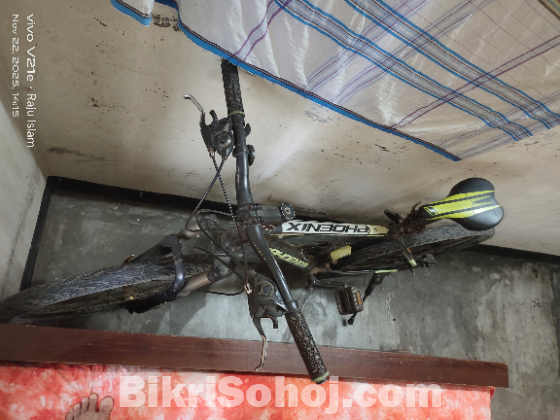 ফিনিক্স বাইসাইকেল