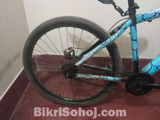 Marine Cycle No Gear