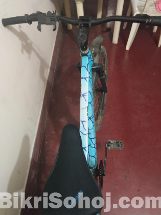 Marine Cycle No Gear