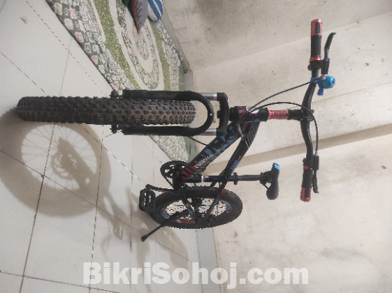 Phoenix bicycle for sale