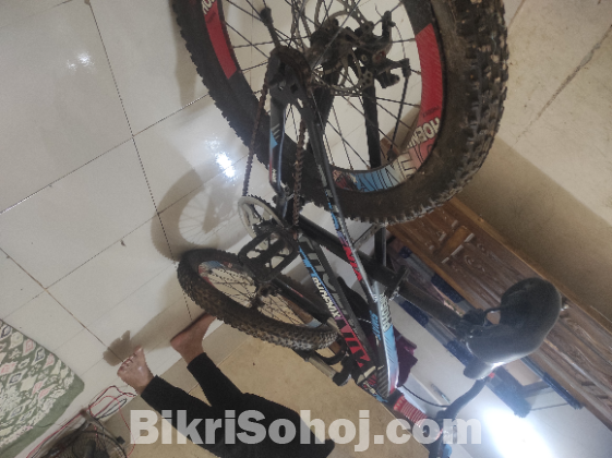 Phoenix bicycle for sale