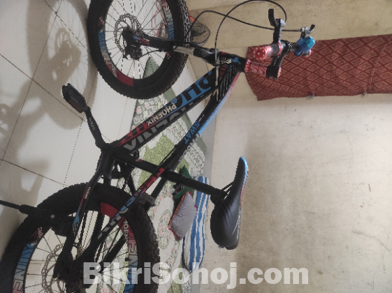 Phoenix bicycle for sale