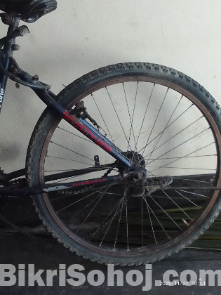 71.বাই সাইকেল