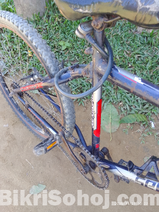 71.বাই সাইকেল