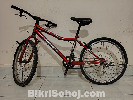 দুরন্ত বাইসাইকেল