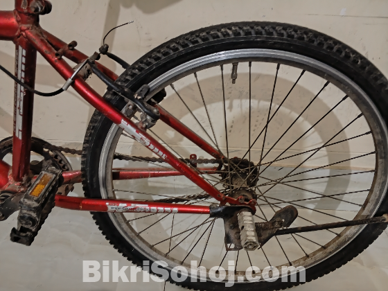 দুরন্ত বাইসাইকেল