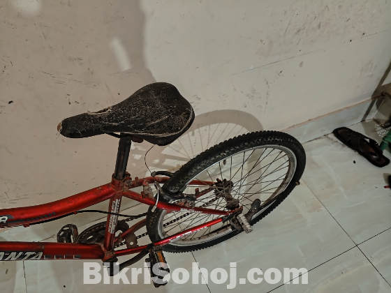 দুরন্ত বাইসাইকেল