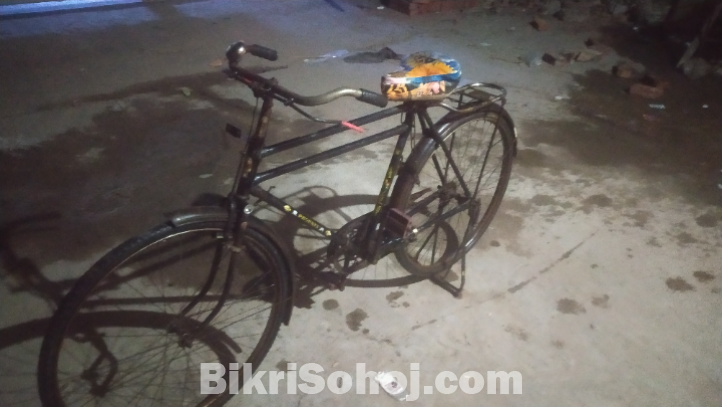 ফনিক্স সাইকেল