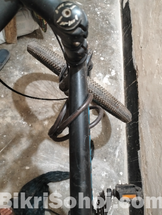 Coyote Shasta Mtb Bicycle