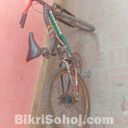 বাই সাইকেল