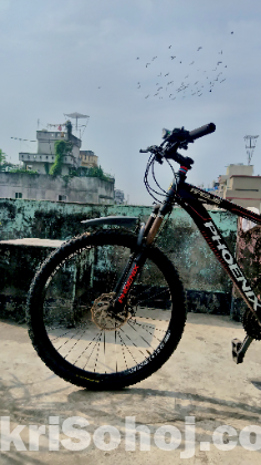 Phoenix 2.0 Full Aluminum Cycle — Lightweight