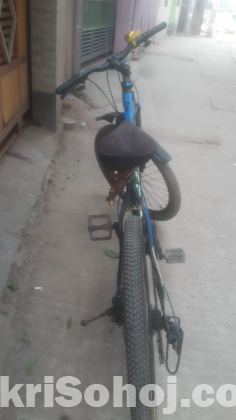 ব্যবহৃত ফিনিক্স ব্যান্ডের সাইকেল বিক্রি করা হবে।