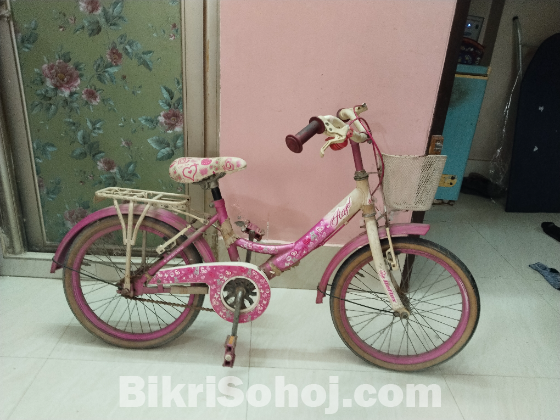 ছোটো মেয়েদের সাইকেল