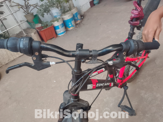 zundapp 24 size 21 speed cycle