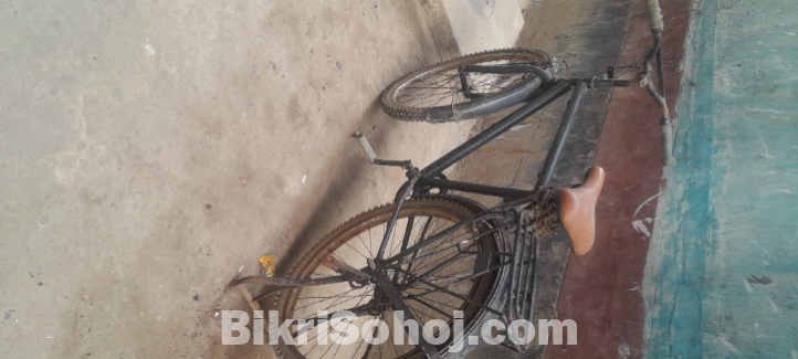 বাইসাইকেল