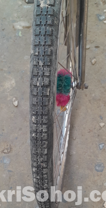 চায়না ফোনিক্স সাইকেল