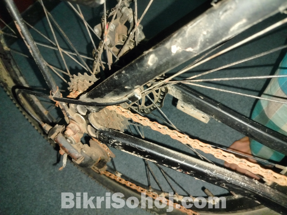 ফনিক্স সাইকেল