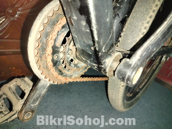 ফনিক্স সাইকেল