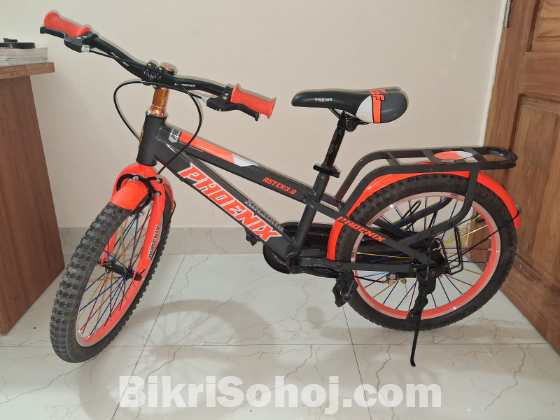 Phoenix aster 3.0 cycle