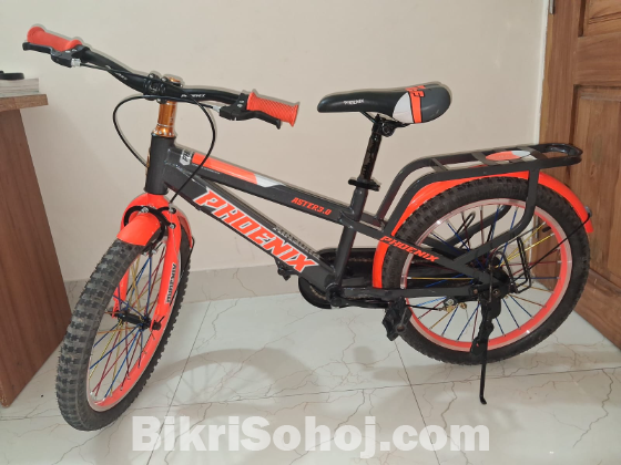 Phoenix aster 3.0 cycle