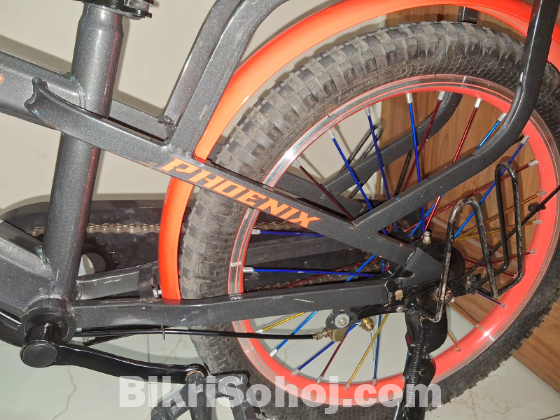 Phoenix aster 3.0 cycle