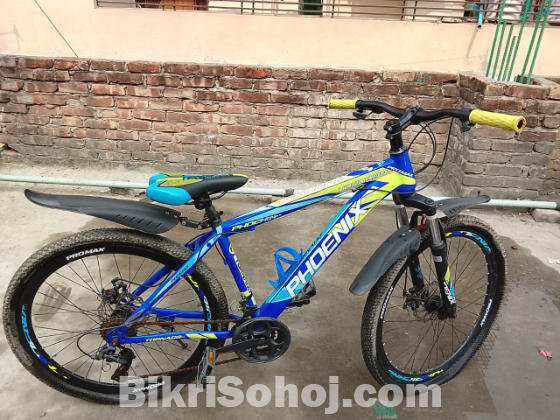 Phoenix Tornado 21 Speed Gear Cycle for Sale