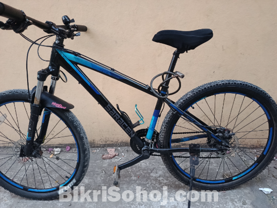 Bicycle ( saracen)