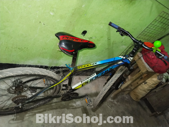 Phoenix bicycle