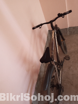 Phoenix Gear Cycle Aluminium Body