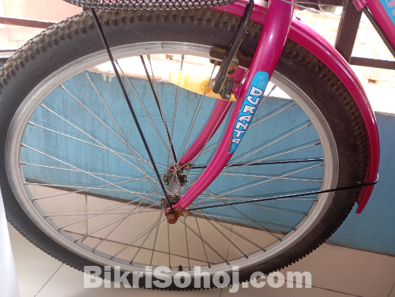 দুরন্ত লেডিস বাইসাইকেল