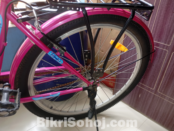 দুরন্ত লেডিস বাইসাইকেল