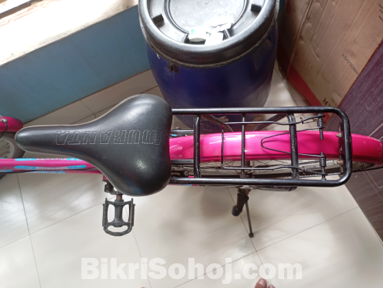 দুরন্ত লেডিস বাইসাইকেল