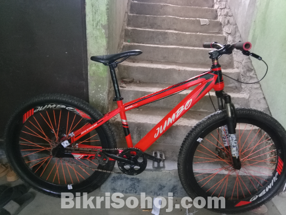 Jumbo non gear bicycle