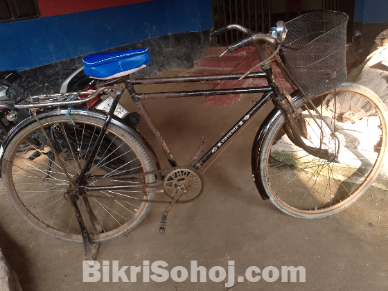 ফোনিস সাইকেল