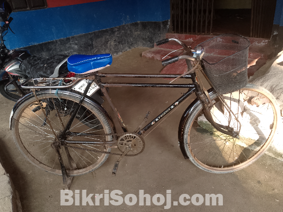 ফোনিস সাইকেল