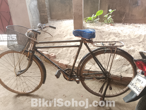 ফোনিস সাইকেল