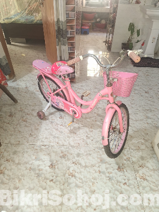 Phoenix Bicycle For Sale