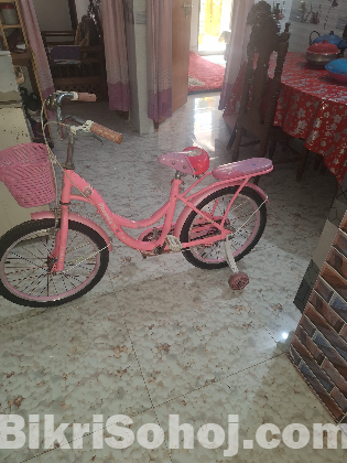 Phoenix Bicycle For Sale
