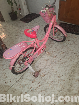 Phoenix Bicycle For Sale