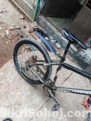 Phoenix bicycle