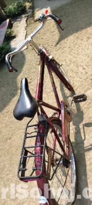 দূরন্ত সাইকেল