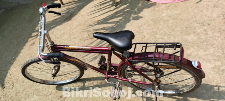 দূরন্ত সাইকেল