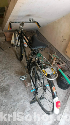 China Phonix সাইকেল