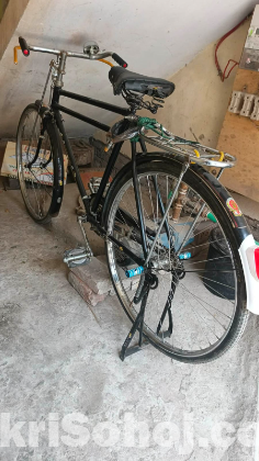 China Phonix সাইকেল