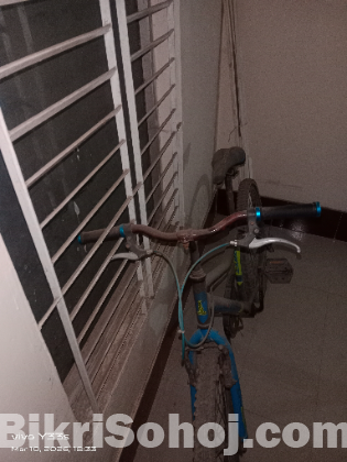 Prince bicycles For Sale