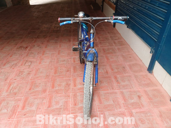 Warrior Brand Bicycle