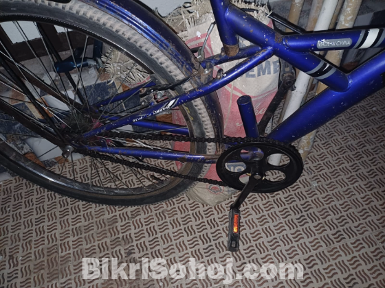 Warrior Brand Bicycle