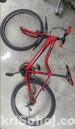 PHOENIX CYCLE (24 inch)