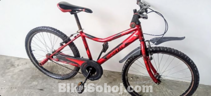 PHOENIX CYCLE (24 inch)